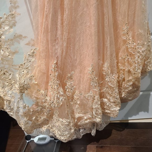 Stunning Peach Lace Gown with Train - Picture 11 of 12